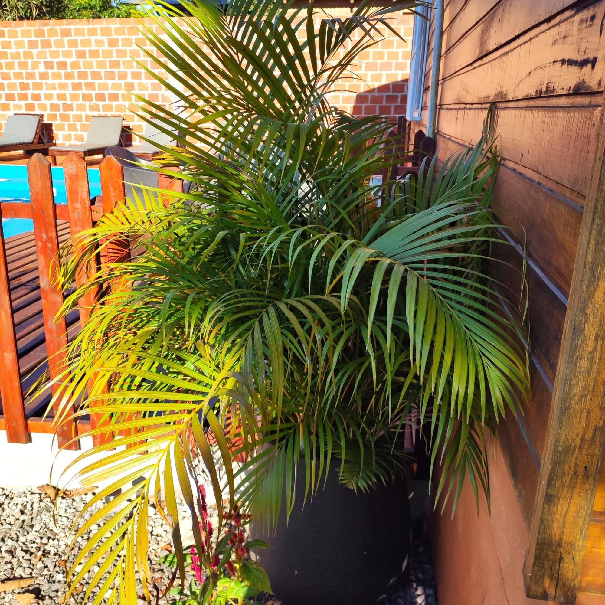 Cabanas La Amistad Puerto Iguazú Zewnętrze zdjęcie